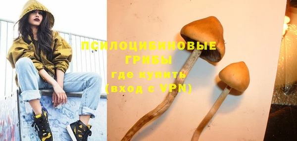 бутират Кукмор