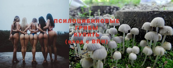 не бодяженный Краснотурьинск